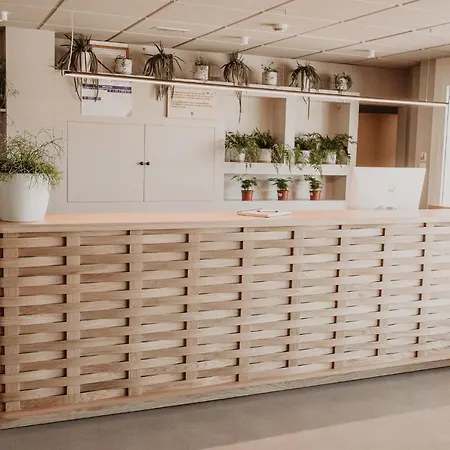 Dena فندق Coirón